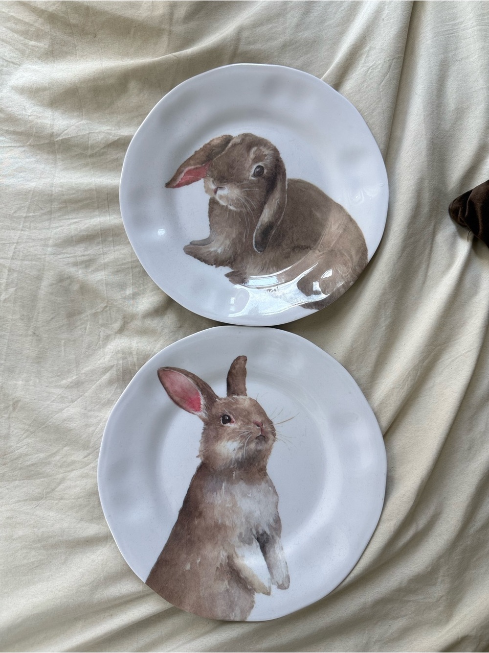208 Park Brown & White Bunny Accent Plate Set - Charming Rabbit Art